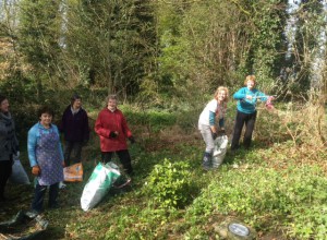 Tidying the Bee Garden on Wed 13th April 2016