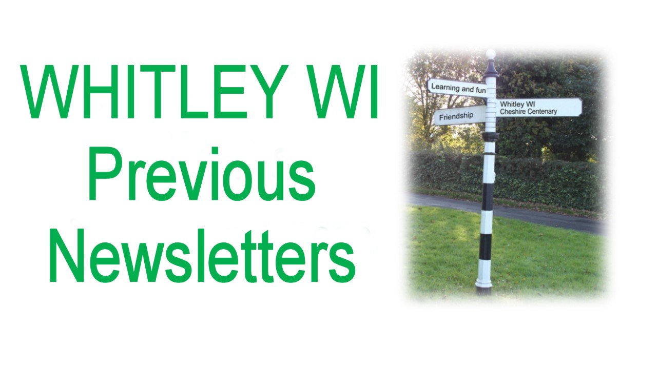 Previous Newsletters