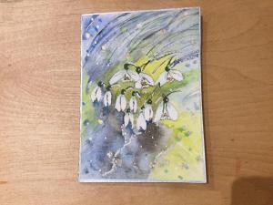 chris-spittle-snowdrops